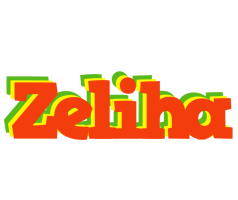 Zeliha bbq logo