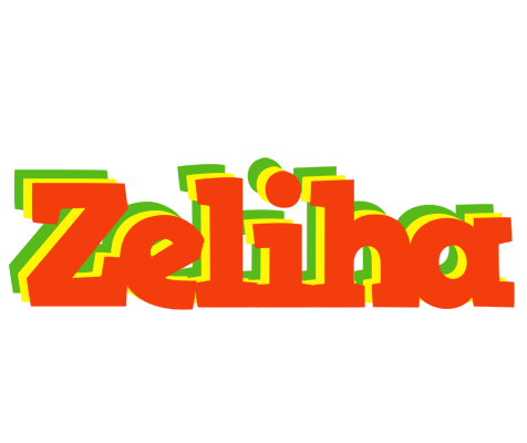 Zeliha bbq logo