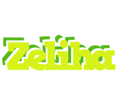 Zeliha citrus logo