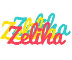 Zeliha disco logo