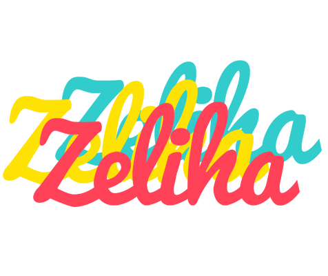 Zeliha disco logo
