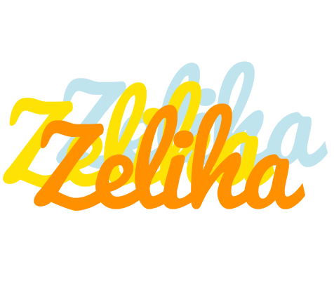 Zeliha energy logo