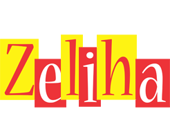 Zeliha errors logo