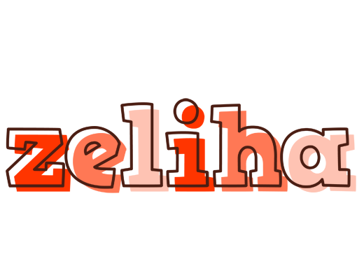Zeliha paint logo