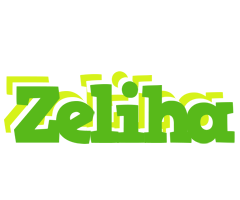 Zeliha picnic logo