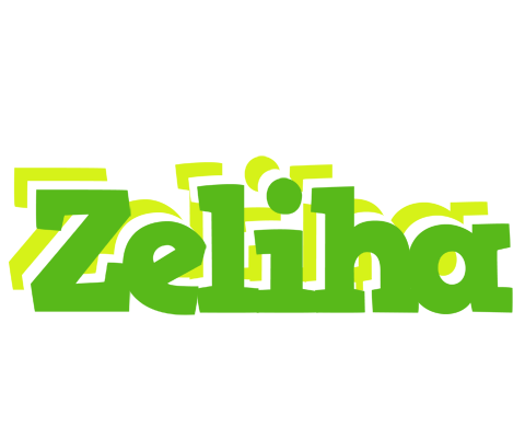 Zeliha picnic logo