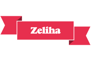 Zeliha sale logo