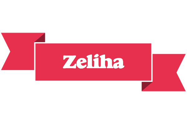 Zeliha sale logo