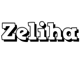 Zeliha snowing logo