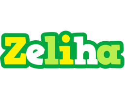 Zeliha soccer logo