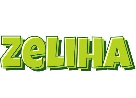 Zeliha summer logo