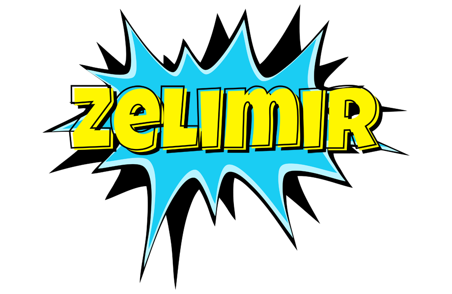 Zelimir amazing logo