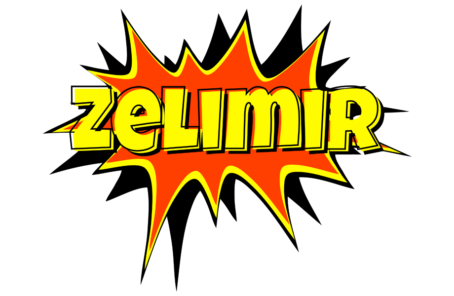 Zelimir bazinga logo