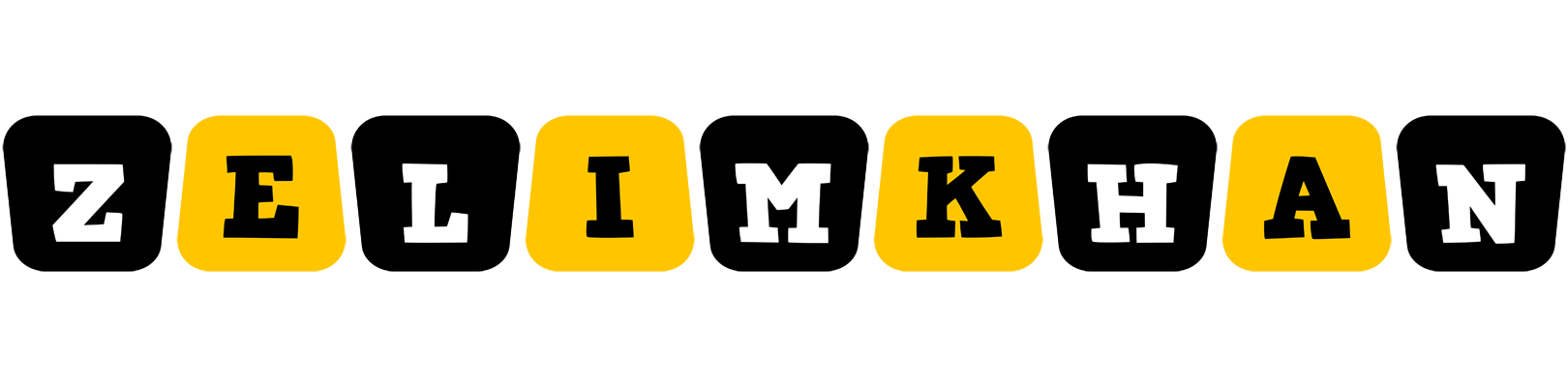 Zelimkhan boots logo