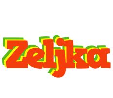 Zeljka bbq logo