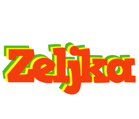 Zeljka bbq logo