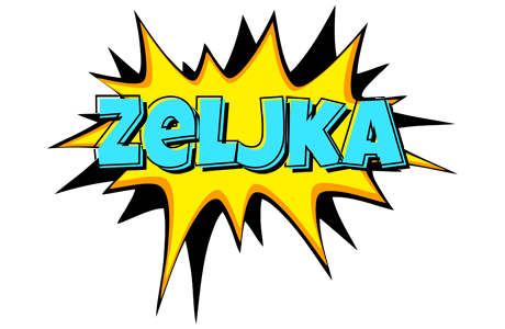 Zeljka indycar logo