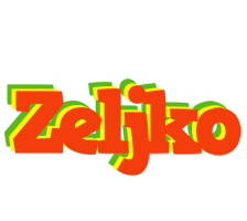 Zeljko bbq logo