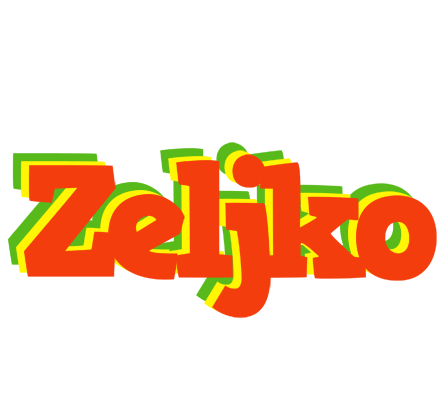 Zeljko bbq logo