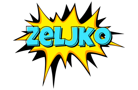 Zeljko indycar logo