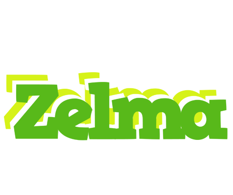 Zelma picnic logo