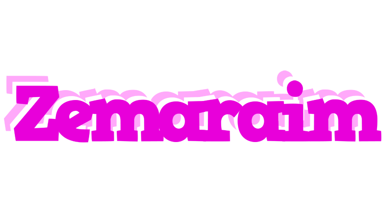 Zemaraim rumba logo