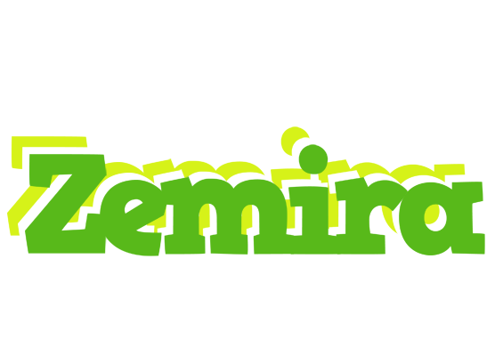 Zemira picnic logo