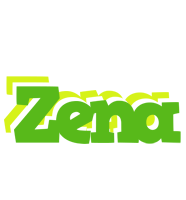 Zena picnic logo