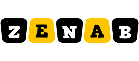 Zenab boots logo