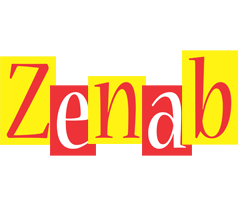 Zenab errors logo