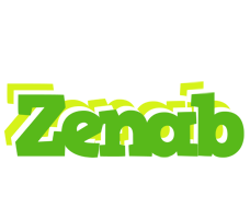 Zenab picnic logo