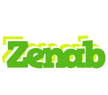 Zenab picnic logo