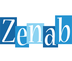 Zenab winter logo