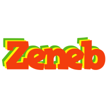 Zeneb bbq logo