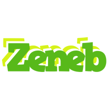 Zeneb picnic logo