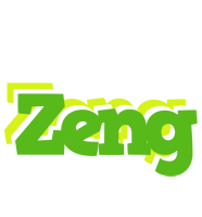 Zeng picnic logo