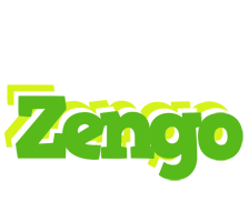 Zengo picnic logo