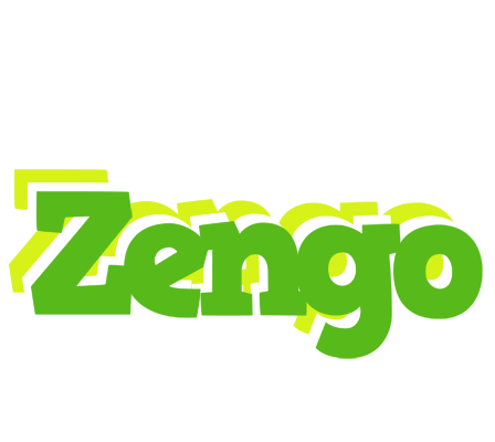 Zengo picnic logo