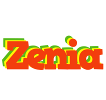 Zenia bbq logo