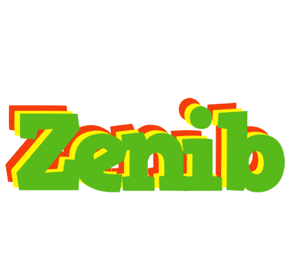 Zenib crocodile logo