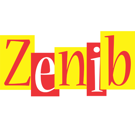 Zenib errors logo