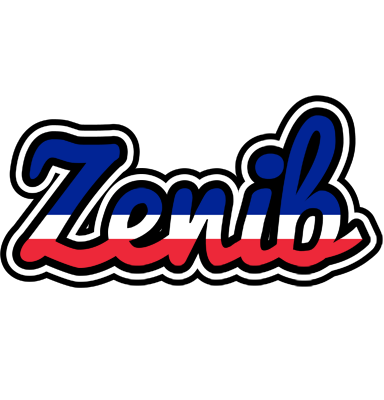Zenib france logo