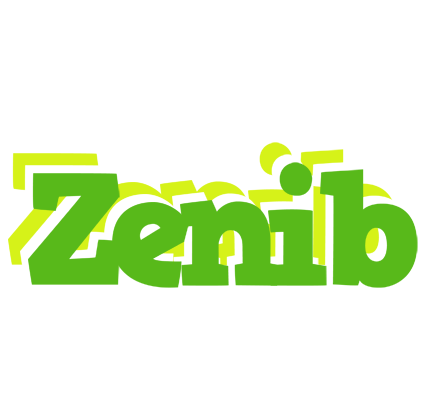 Zenib picnic logo
