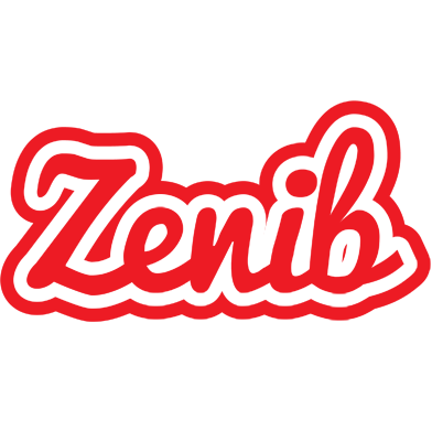 Zenib sunshine logo