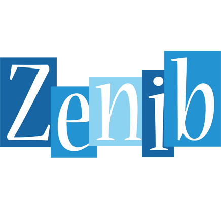 Zenib winter logo