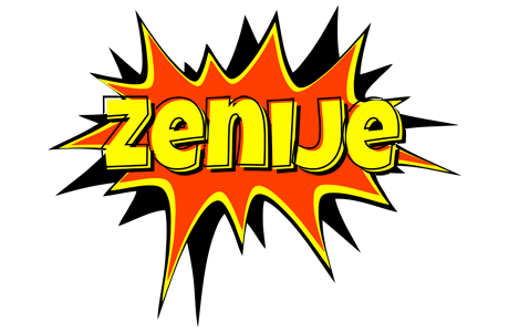 Zenije bazinga logo