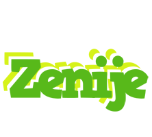 Zenije picnic logo