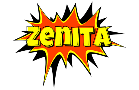 Zenita bazinga logo
