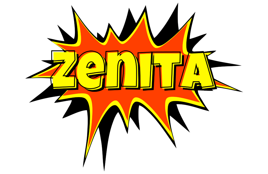 Zenita bazinga logo