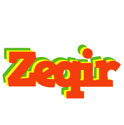 Zeqir bbq logo